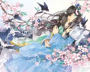 深入了解 糖心捅主任的日常